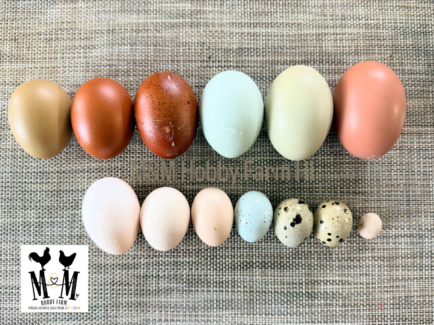 Assorted colored eggs on a textured surface with a logo in the corner.