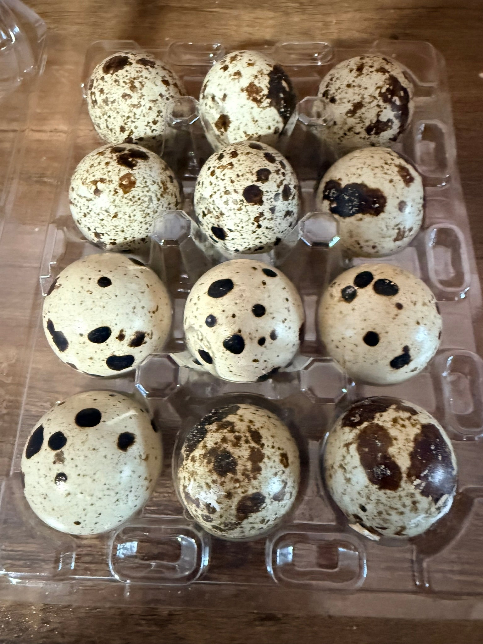 Quail eggs in a clear plastic container on a wooden surface